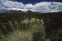 RWT 0032 022-29 New Zealand Tongariro NP